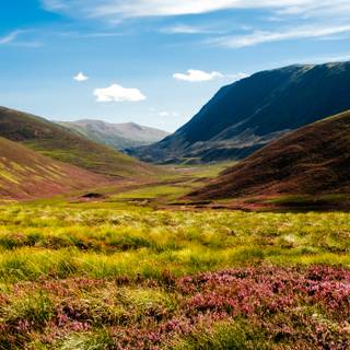 Scotland spring wallpaper