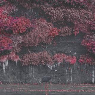 Sleep Token 4k wallpaper