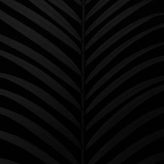 Cute black 4k wallpaper