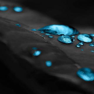 Cute black 4k wallpaper