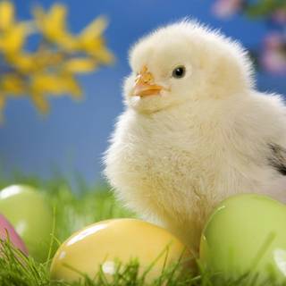 Easter wallpaper