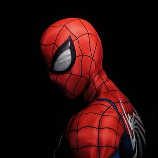 Red and black Spider-Man wallpaper