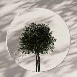 Aesthetic white 4k wallpaper