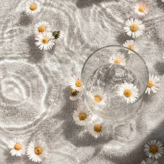 Aesthetic white 4k wallpaper