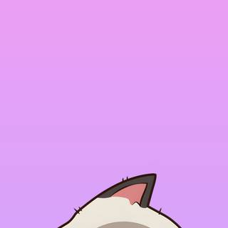 Funny cat phone wallpaper