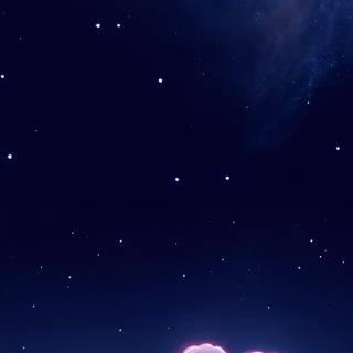 Funny cat phone wallpaper