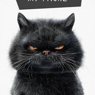 Funny cat phone wallpaper