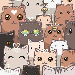 Funny cat phone wallpaper