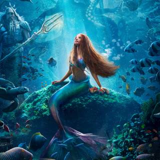 Little Mermaid iPhone wallpaper