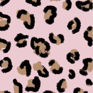 Cheetah print iPhone wallpaper
