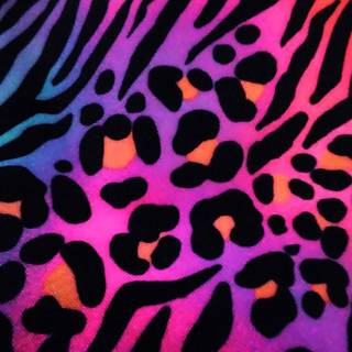 Cheetah print iPhone wallpaper