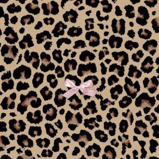 Cheetah print iPhone wallpaper