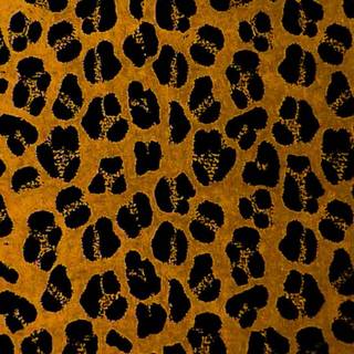 Cheetah print iPhone wallpaper