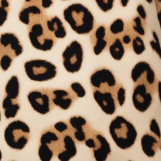 Cheetah print iPhone wallpaper