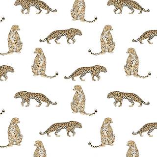 Cheetah print iPhone wallpaper