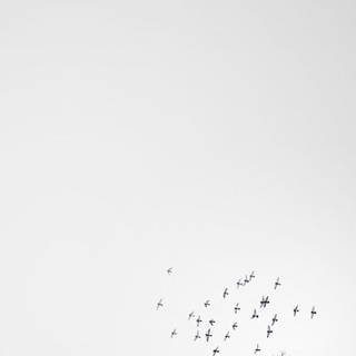 White minimal iPhone wallpaper