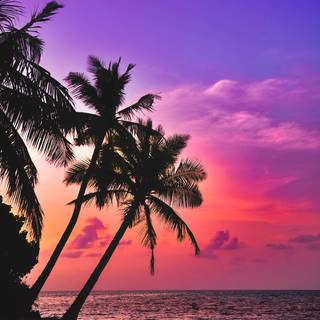 Beach aesthetic phone wallpaper