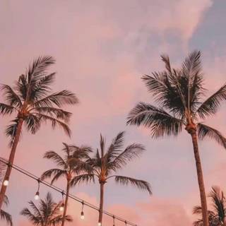 Beach aesthetic phone wallpaper