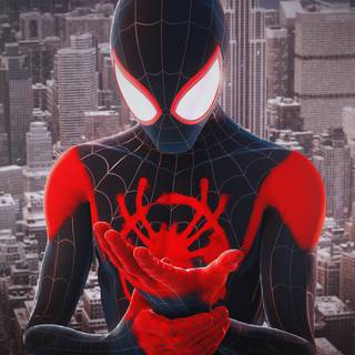 Phone Miles Morales wallpaper