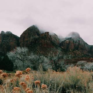 Moody desktop wallpaper