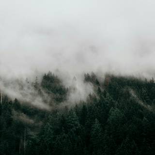 Moody desktop wallpaper