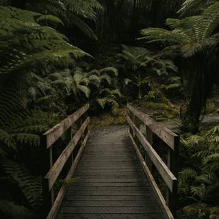 Moody desktop wallpaper