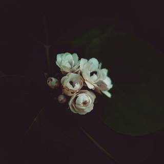 Moody desktop wallpaper