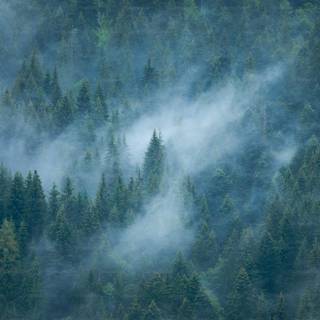 Moody desktop wallpaper