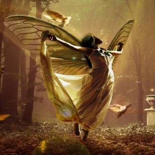 Desktop fairy wallpaper