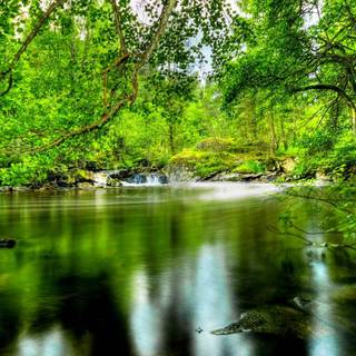 River desktop wallpaper