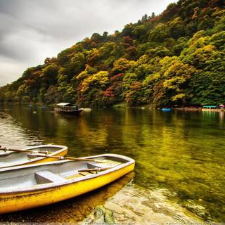 River desktop wallpaper