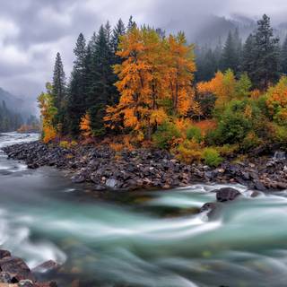 River desktop wallpaper