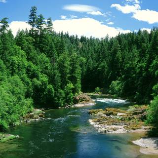 River desktop wallpaper