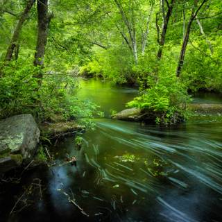 River desktop wallpaper