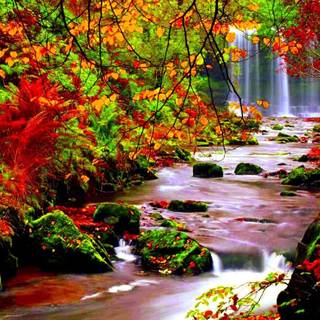 River desktop wallpaper