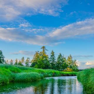 River desktop wallpaper