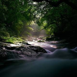 River desktop wallpaper