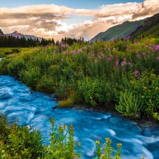 River desktop wallpaper