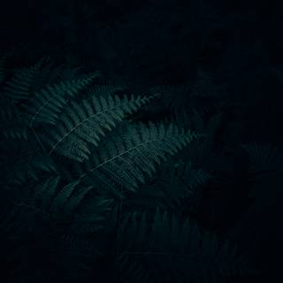 Simple dark desktop wallpaper