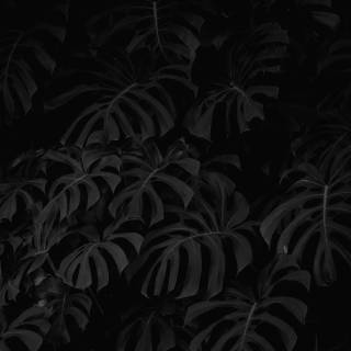 Simple dark desktop wallpaper