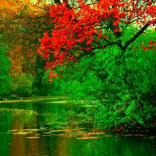 River desktop wallpaper