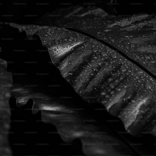 Simple dark desktop wallpaper