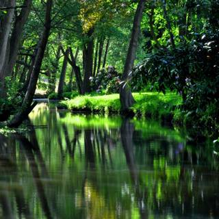 River desktop wallpaper