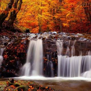 River desktop wallpaper