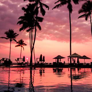 Nature evening wallpaper