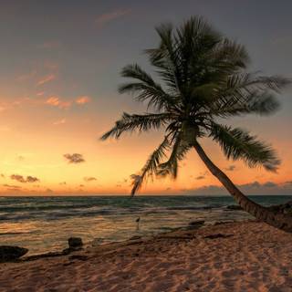 Mexico desktop wallpaper