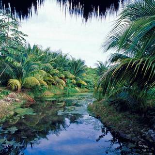 Mexico desktop wallpaper