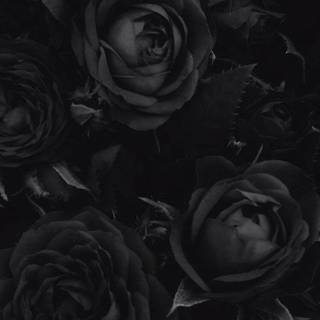 Gothic mobile wallpaper