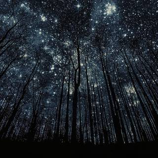 Desktop star wallpaper