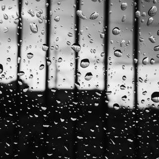 Mobile black and white wallpaper